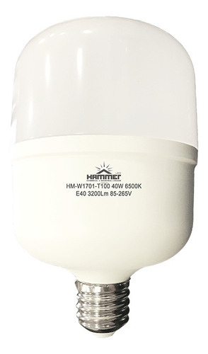 BULBO LED - BIG - E27 - 40W - 65K - 100 L/W - 30.000 HORAS - 85/265 VOLTS