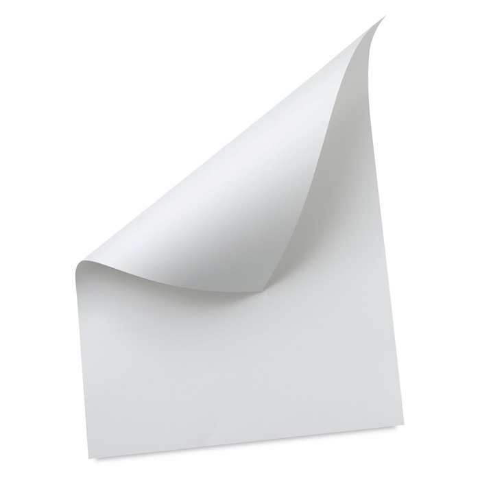 CARTULINA BLANCA BISTROL 66X96